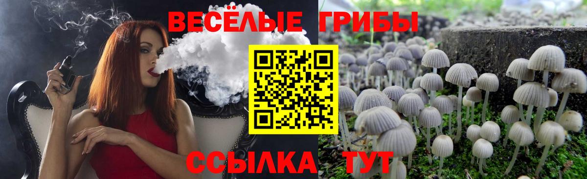 Галлюциногенные грибы мицелий  Вход с VPN  Заволжье 